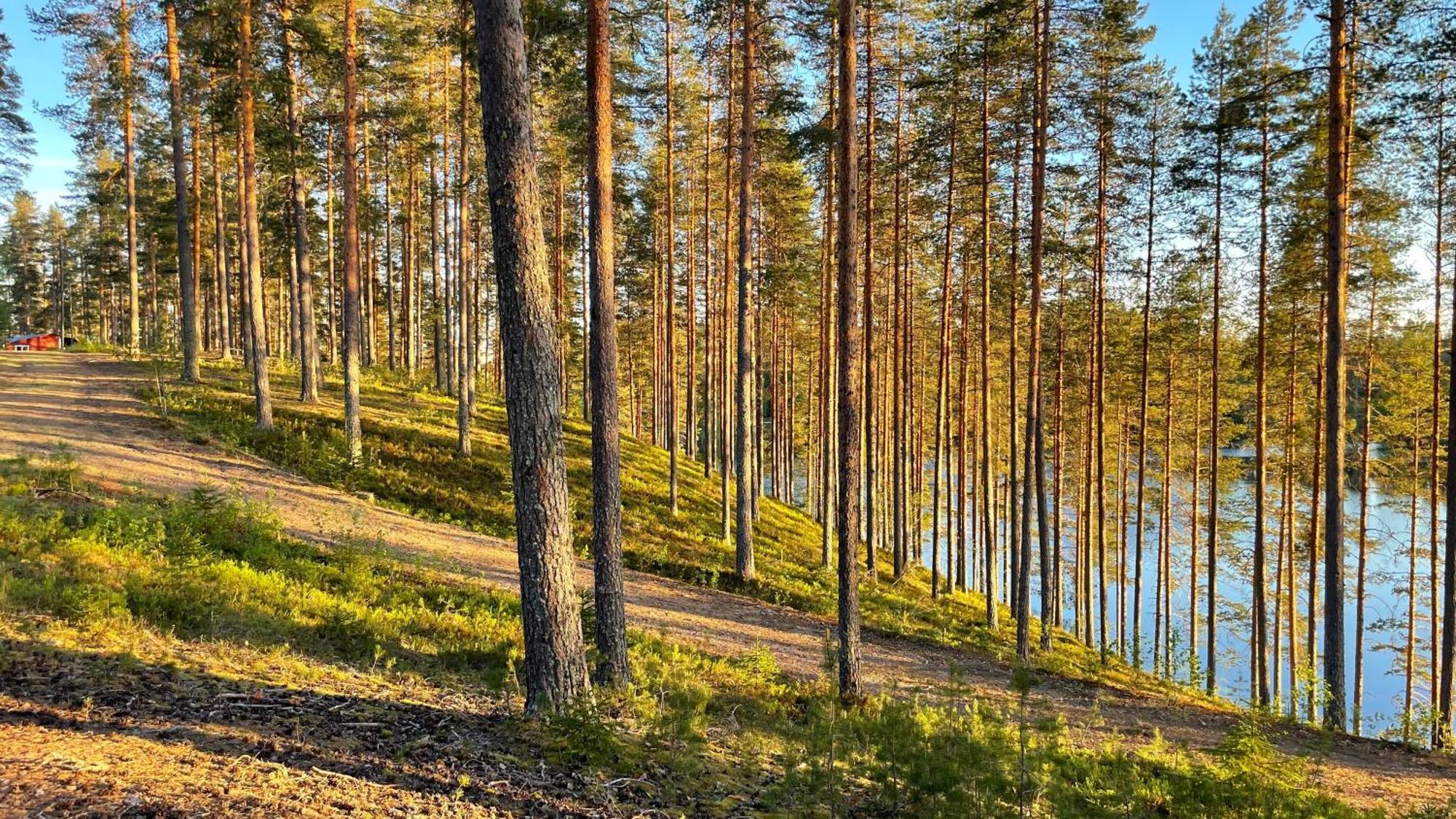 Ahvenlampi Camping Saarijärvi Exterior foto
