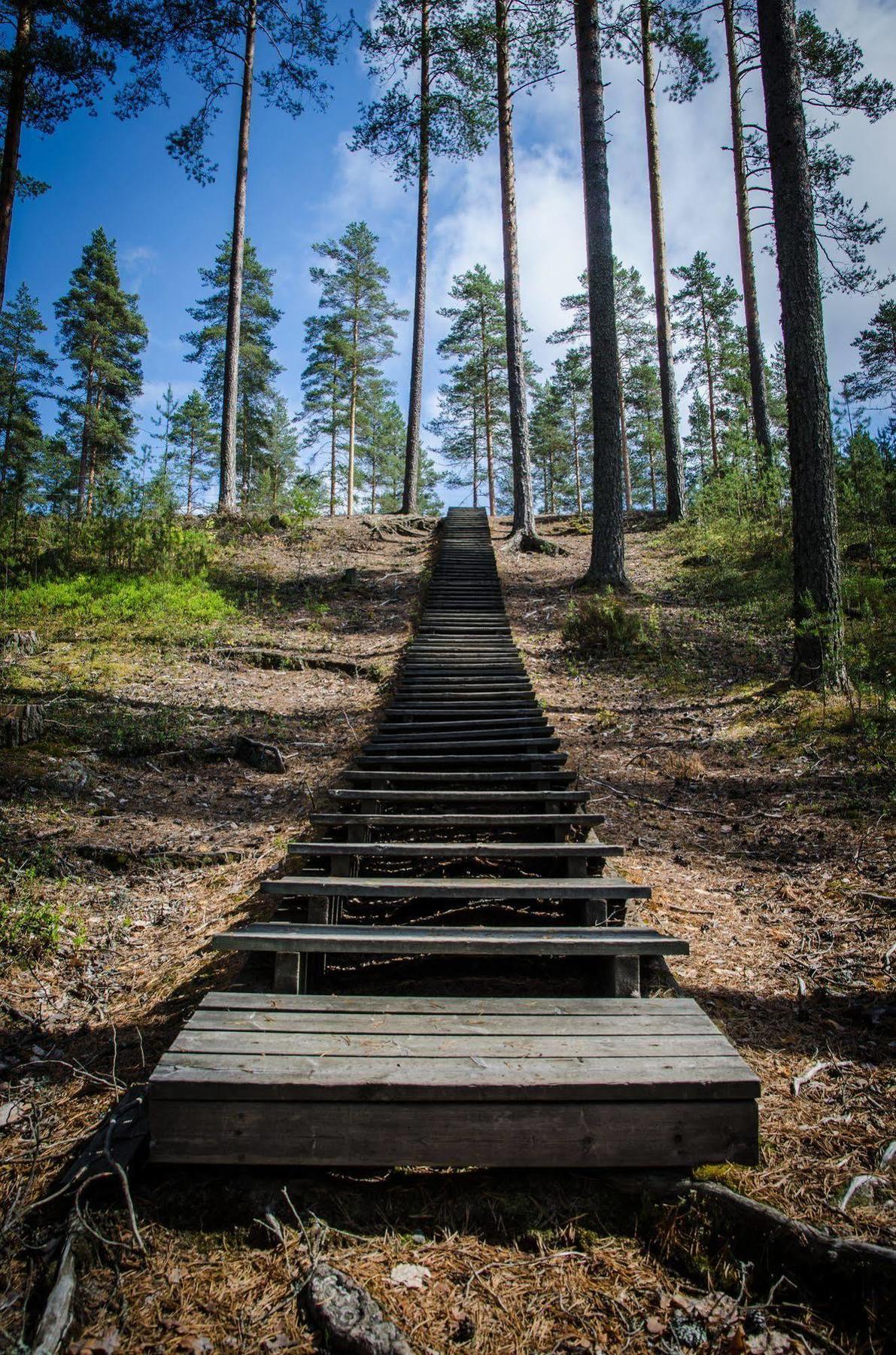 Ahvenlampi Camping Saarijärvi Exterior foto